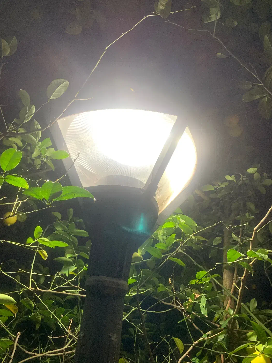 چراغ و پایه برای فضای باز|لامپ و چراغ|نوشهر, |دیوار