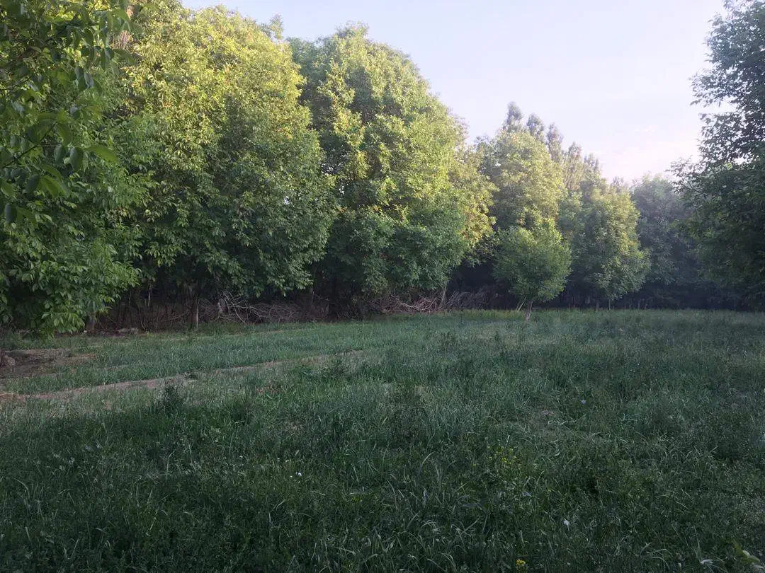 زمین زراعتی دارای آب بصورت 24 ساعته جوراج|اجارهٔ دفتر صنعتی، کشاورزی، تجاری|نهاوند, |دیوار