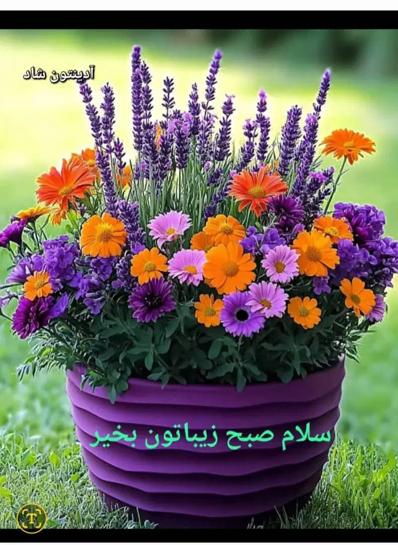 نظافت ساختمان|خدمات نظافت|گرگان, |دیوار