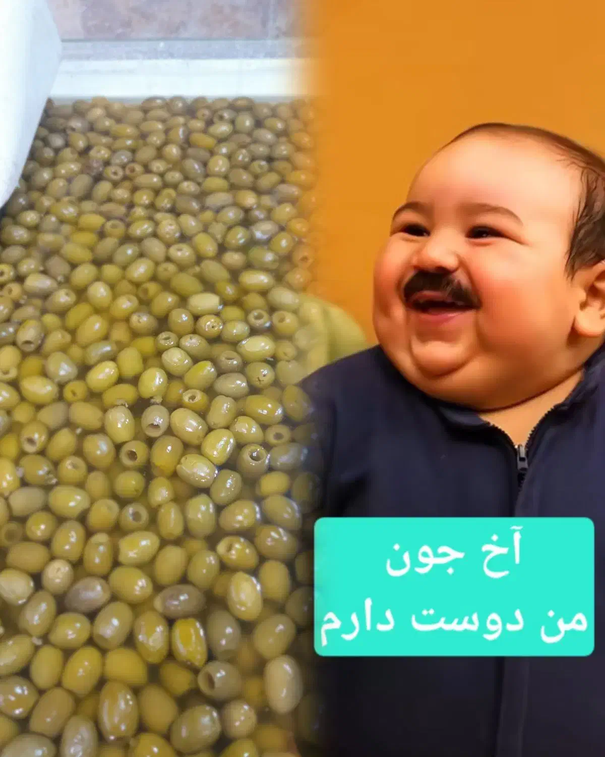 زیتون درجه یک رودبار گیلان|خوردنی و آشامیدنی|رودبار, |دیوار