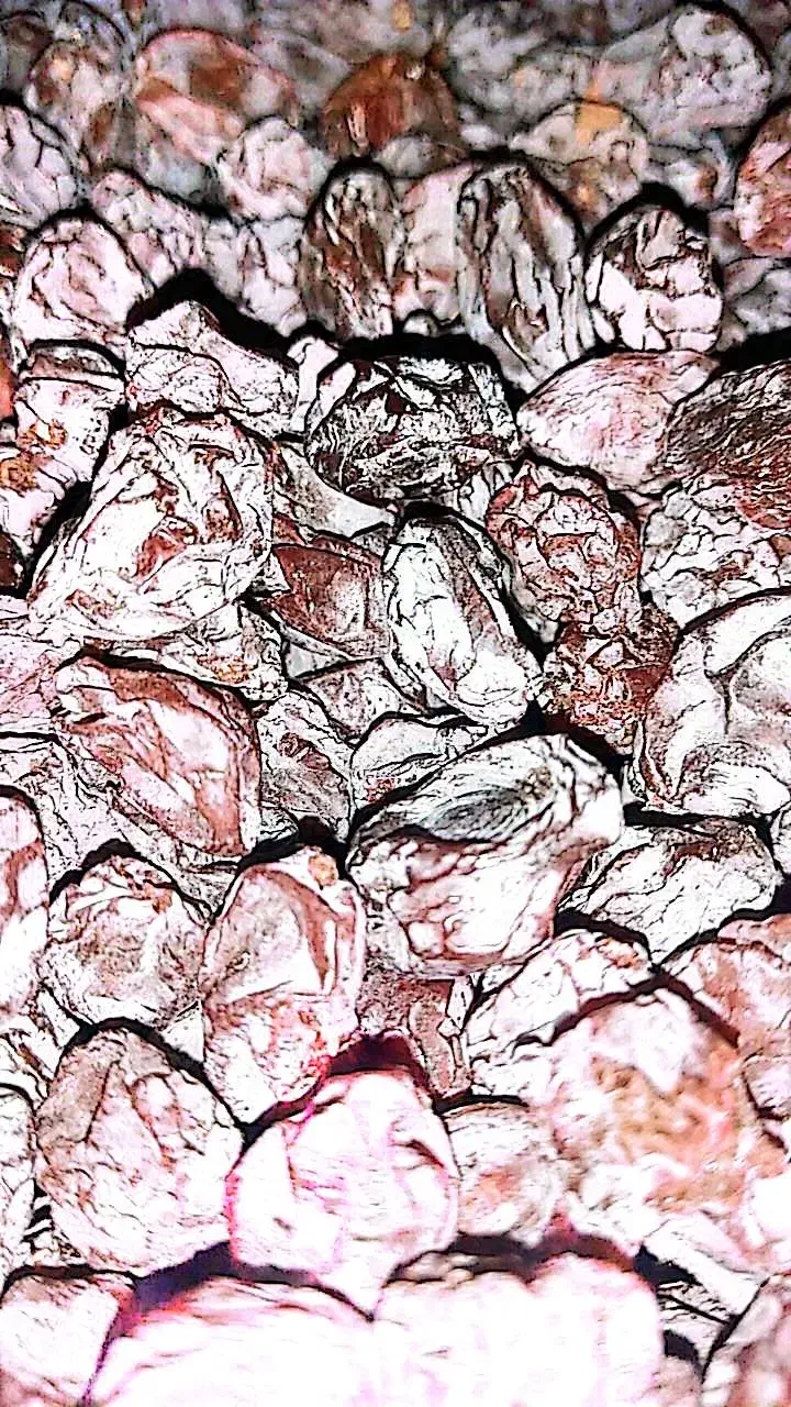 مویز درجه1 صادراتی را مستقیم از باغ دار بخر|خوردنی و آشامیدنی|شیراز, معالی‌آباد|دیوار