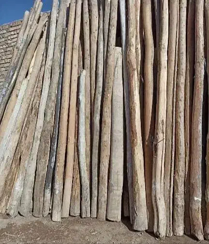 خرید و فروش انواع چوب با بالاترین قیمت|خدمات باغبانی و درختکاری|قیدار, |دیوار