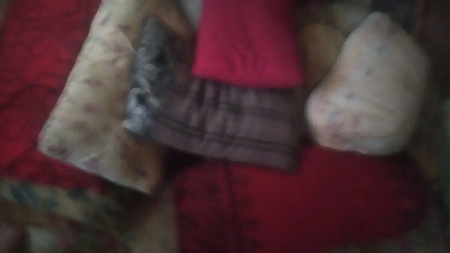 بالشت|رختخواب، بالش، پتو|سیرجان, |دیوار