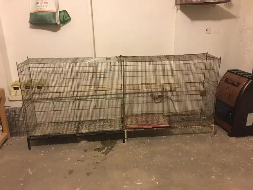 فروش گنجه قفس پران|لوازم جانبی حیوانات|آمل, |دیوار