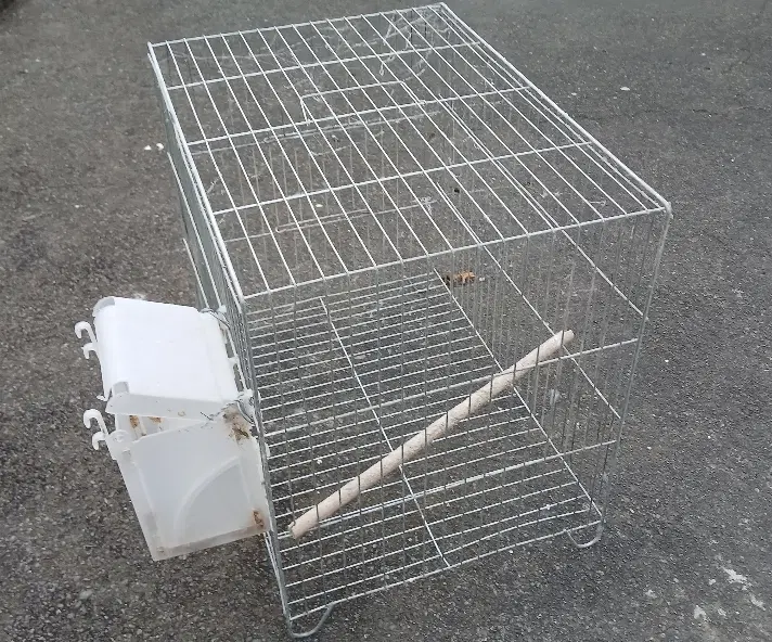 قفس|لوازم جانبی حیوانات|بندر انزلی, معلم|دیوار