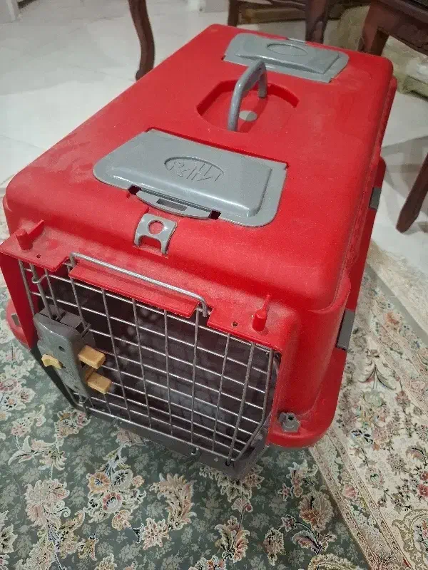 سبد نگهداری سگ|لوازم جانبی حیوانات|تهران, باشگاه نفت|دیوار