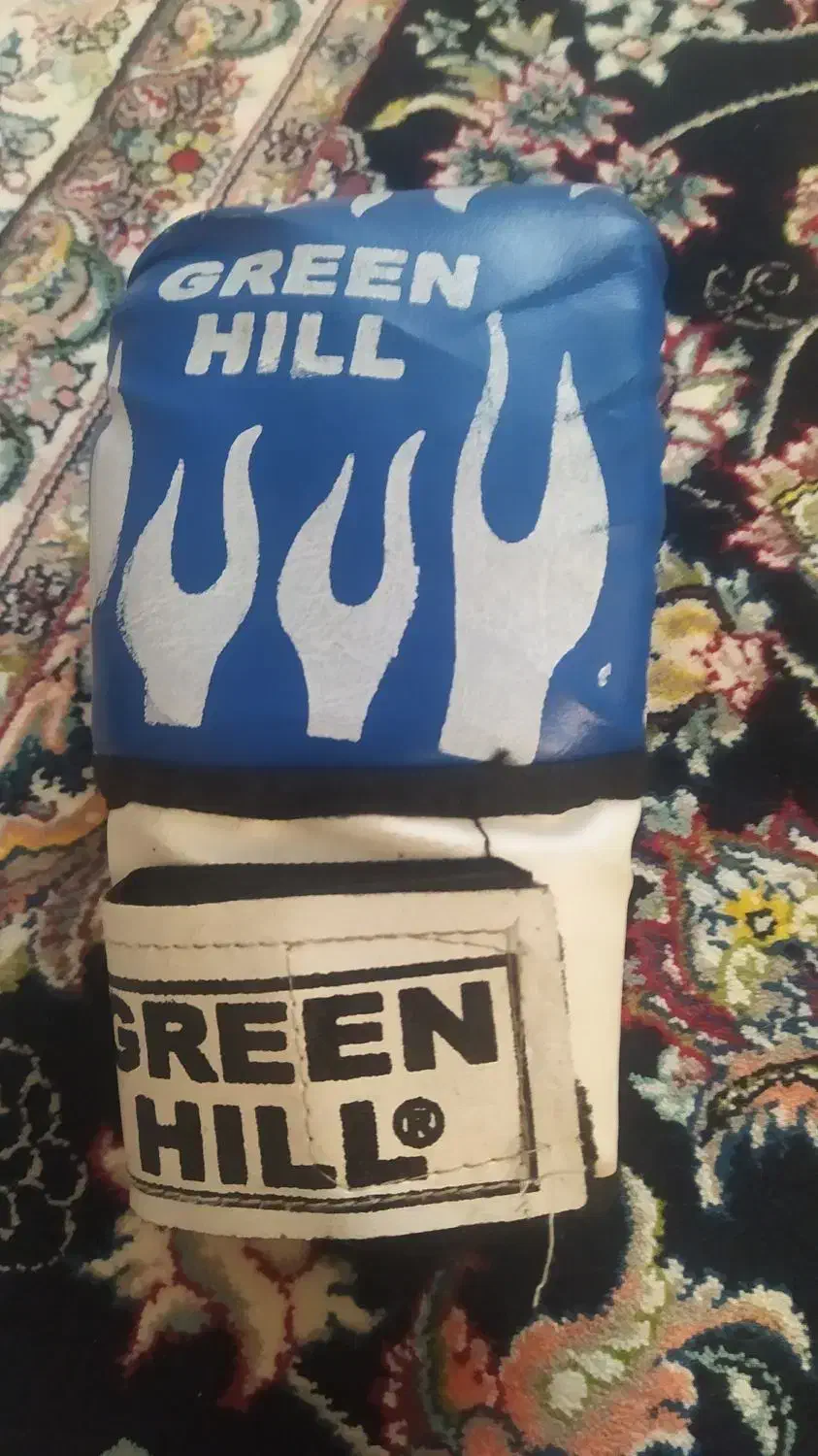 دستکش بوکس|تجهیزات ورزشی|همدان, |دیوار