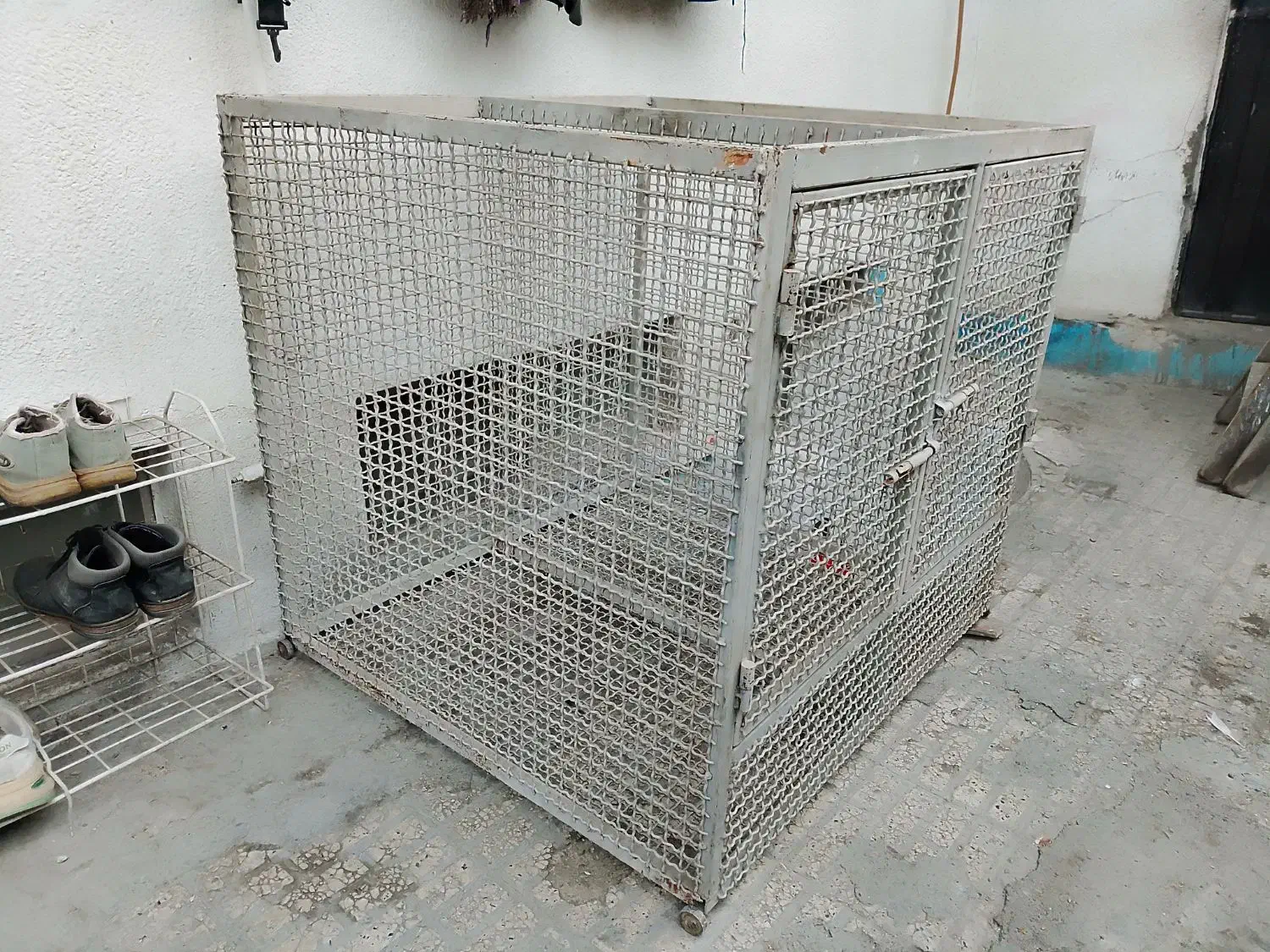 قفس فنسی محکم واستاندارد|لوازم جانبی حیوانات|گرگان, |دیوار