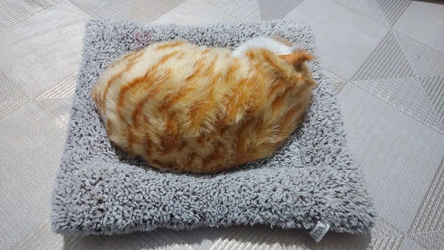 اسباب بازی گربه صدا دار|اسباب‌‌بازی|ماکو, |دیوار