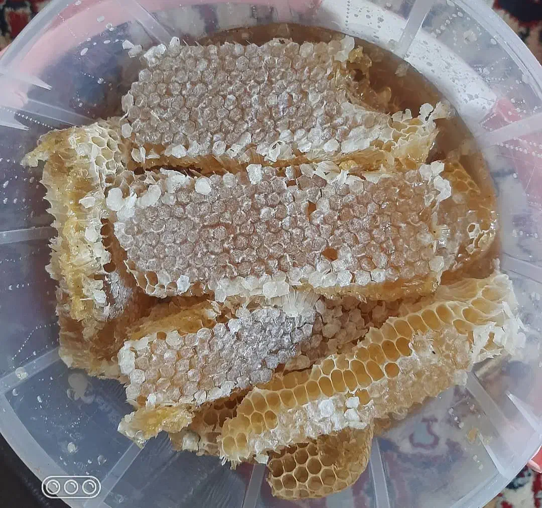 فروش عسل عسل درجه یک|خوردنی و آشامیدنی|شیراز, شهرک سعدی|دیوار