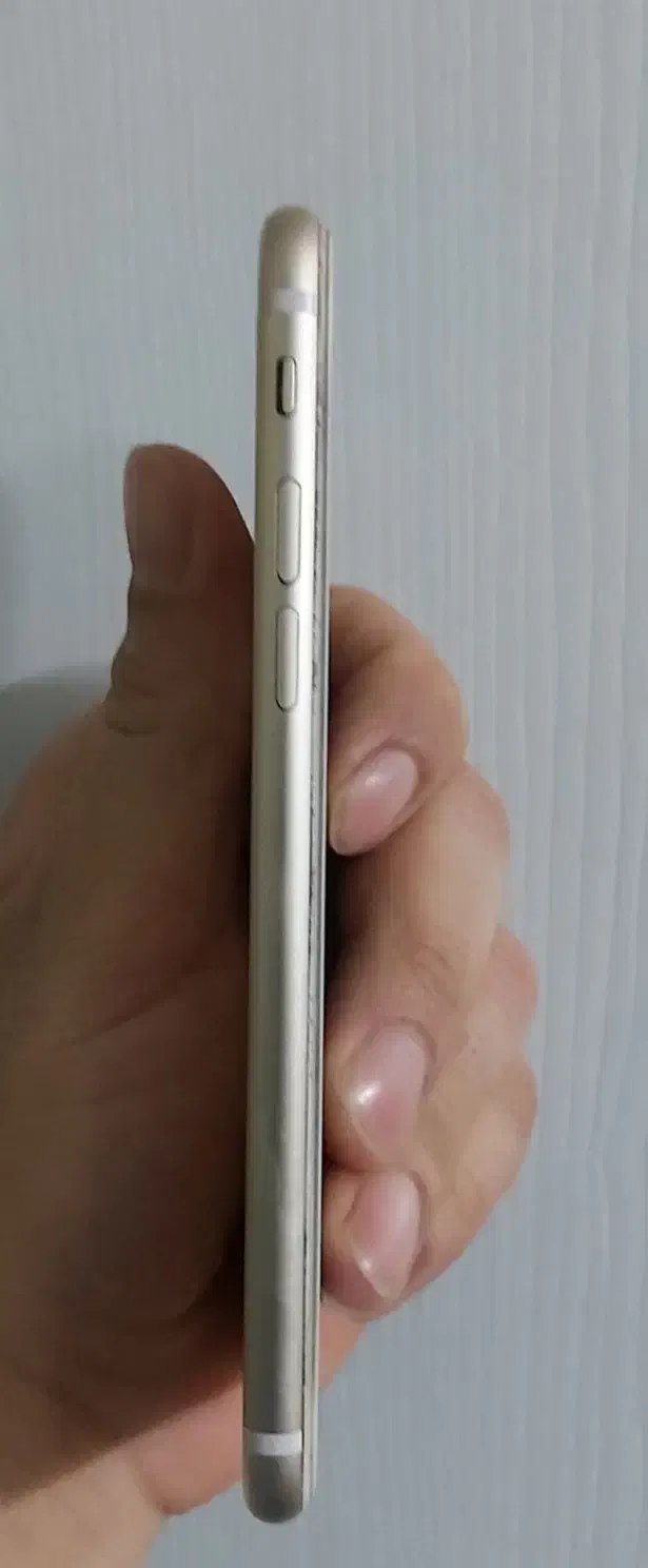 آیفون ۷|موبایل|مشهد, سعد آباد|دیوار