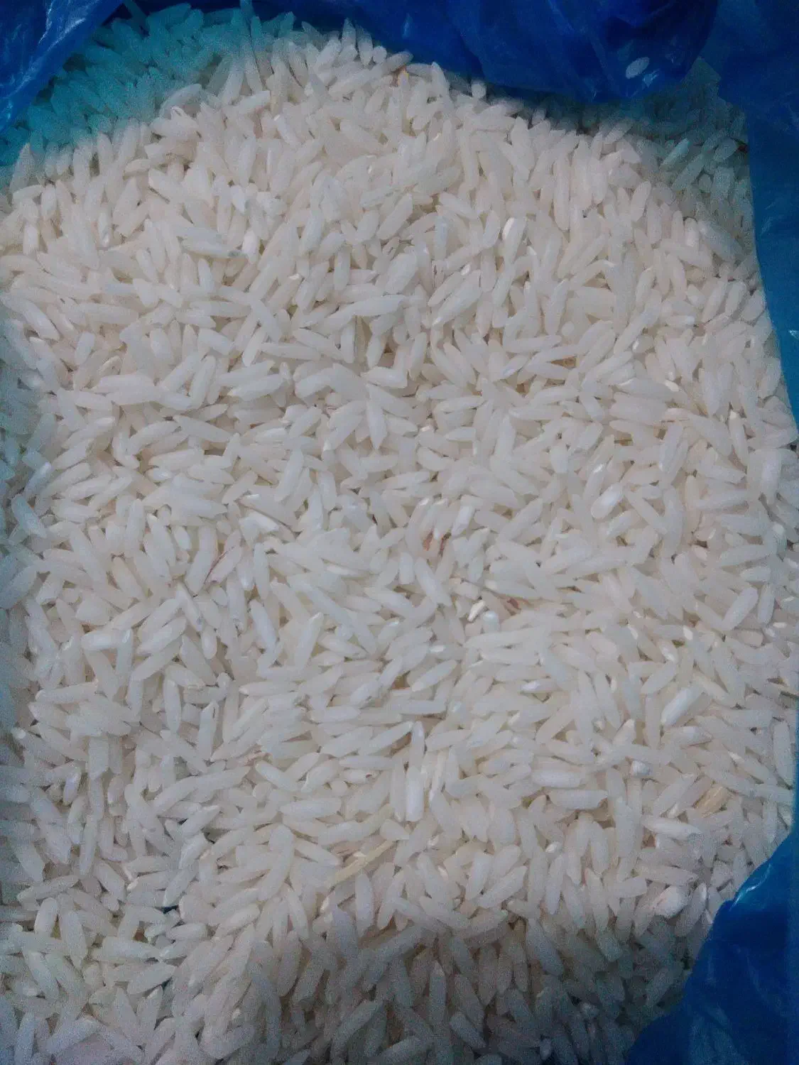 برنج هاشمی آستانه محصول خودم بدون قاطی  ارگانیک|خوردنی و آشامیدنی|کیاشهر, |دیوار