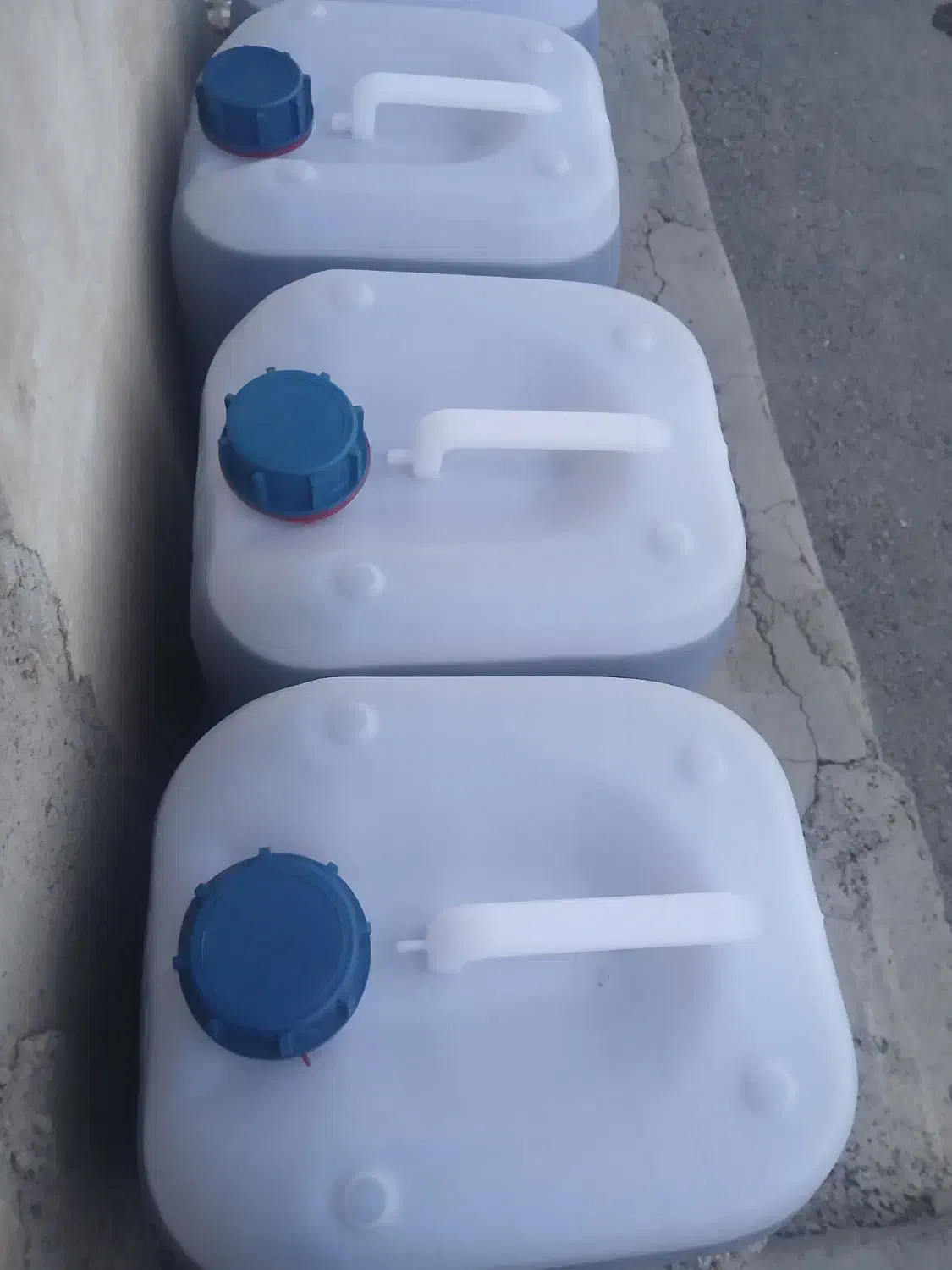 روغن زیتون|خوردنی و آشامیدنی|چورزق, |دیوار