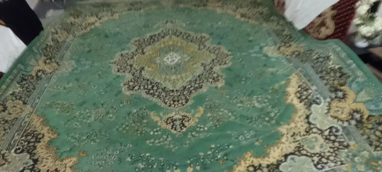 دو فرش ۱۲متری زمینه سبز و یک فرش ۶متری کرم|فرش|نشتارود, |دیوار