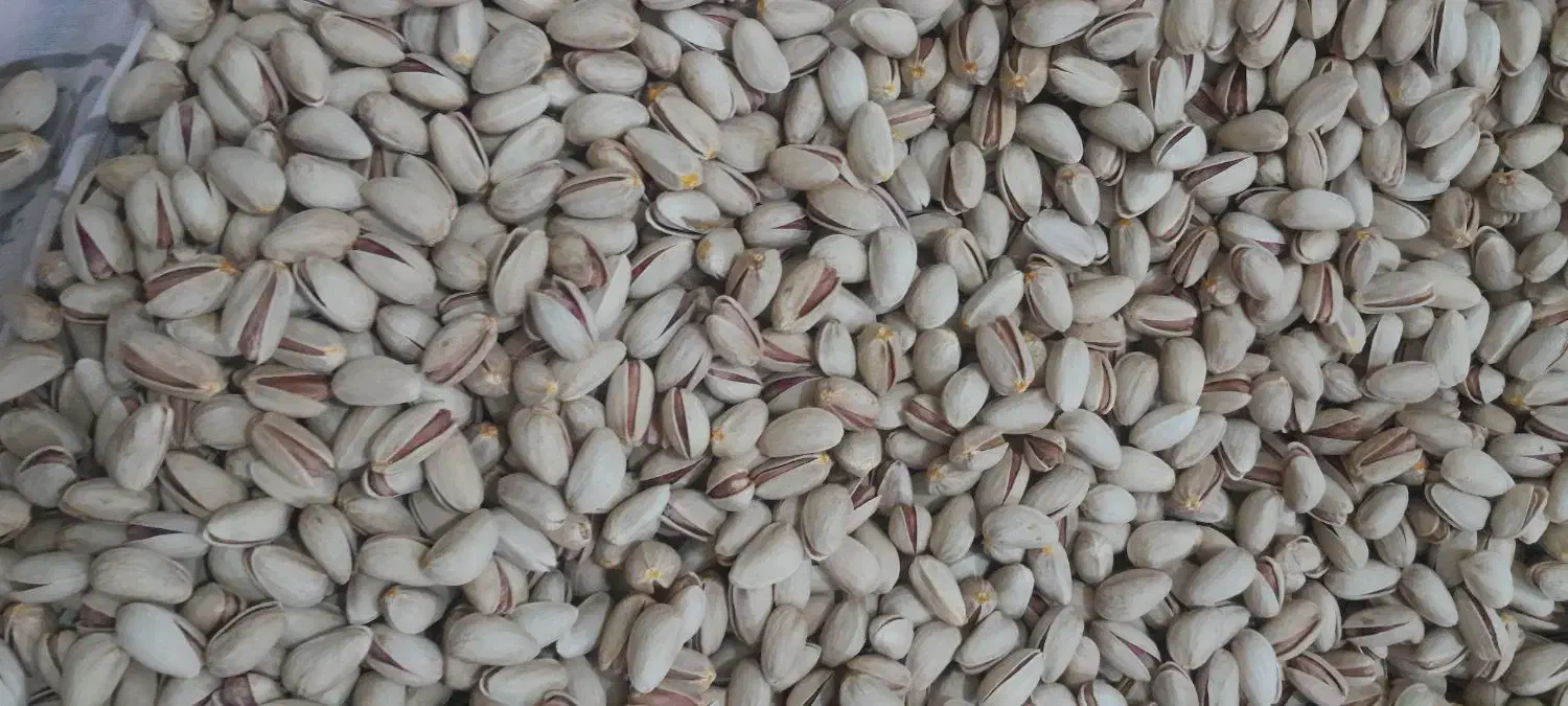 پسته خشک|خوردنی و آشامیدنی|سده (خراسان جنوبی), |دیوار