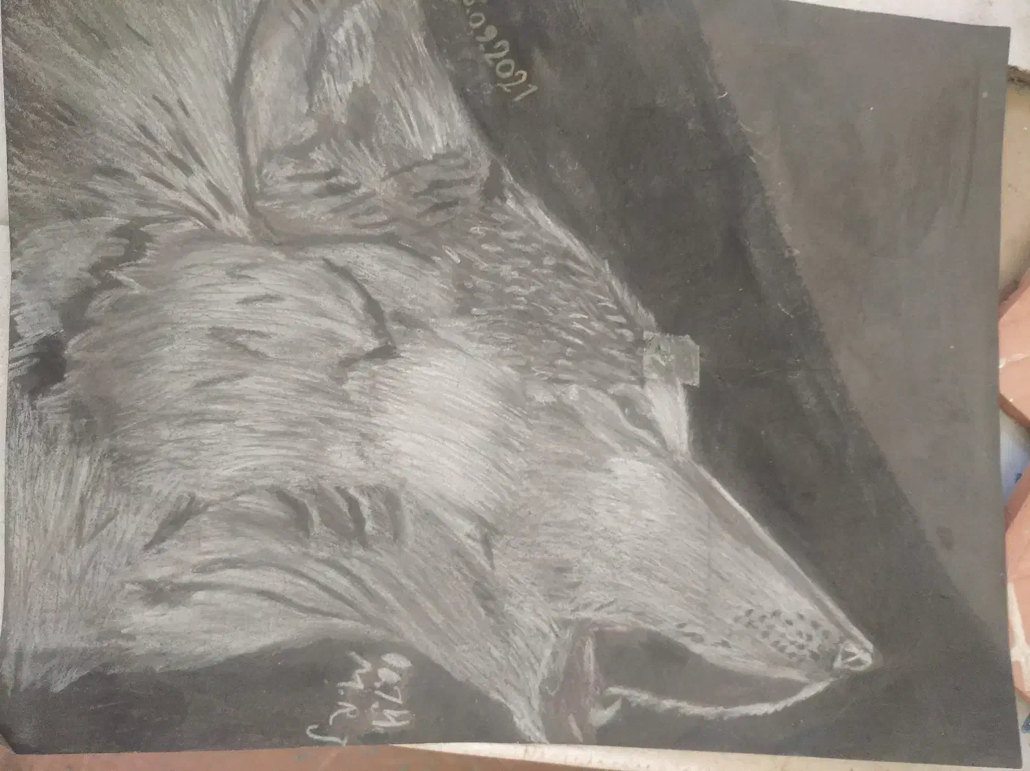 فروش نقاشی مداد شمعی و سیاه قلم|تابلو، نقاشی، عکس|زنجان, |دیوار