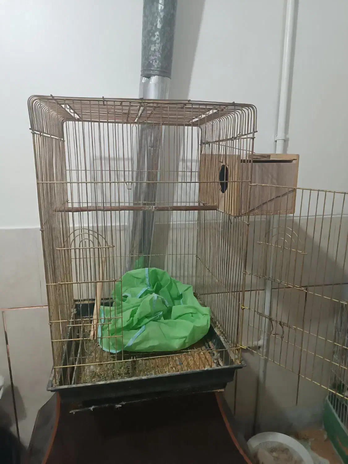 کوتوله سه عدد قفس عروس هلندی قناری مرغ عشق|پرنده|اصفهان, گرکان|دیوار