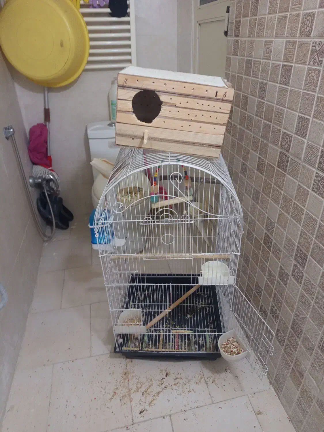 قفس پرنده|لوازم جانبی حیوانات|تهران, جوادیه تهرانپارس|دیوار