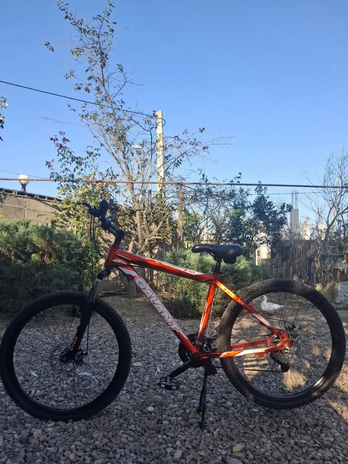 دوچرخه گالانت ۲۷.۵|دوچرخه، اسکیت، اسکوتر|فومن, |دیوار