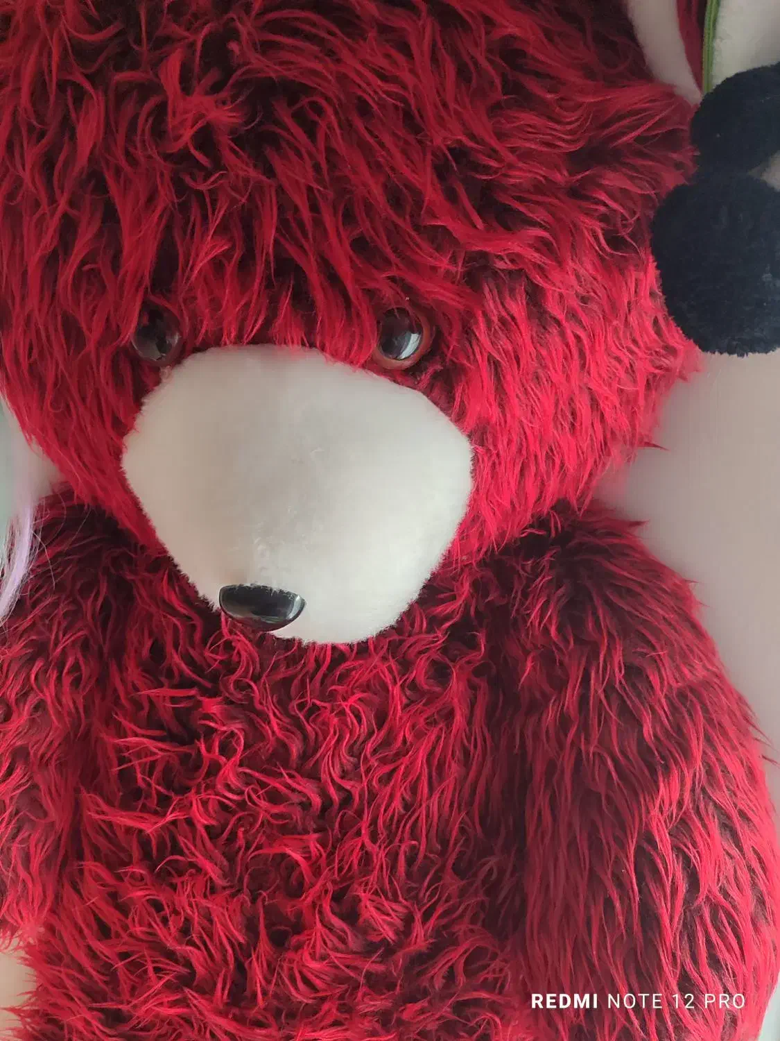 عروسک خرسی بزرگ|اسباب‌‌بازی|چالوس, |دیوار