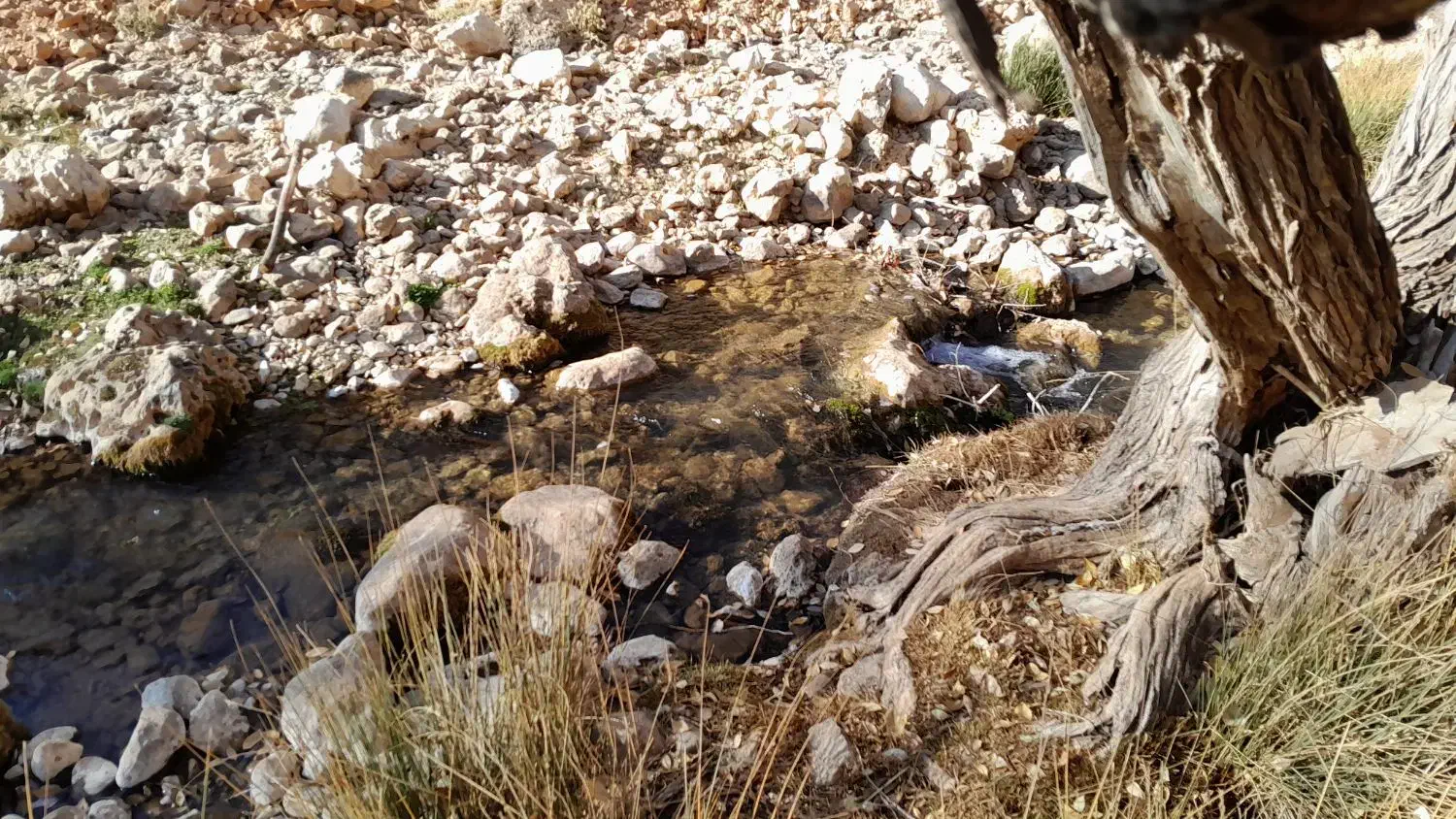 فروش معدن شن و ماسه جاده اصفهان|فروش دفتر صنعتی، کشاورزی، تجاری|سیسخت, |دیوار