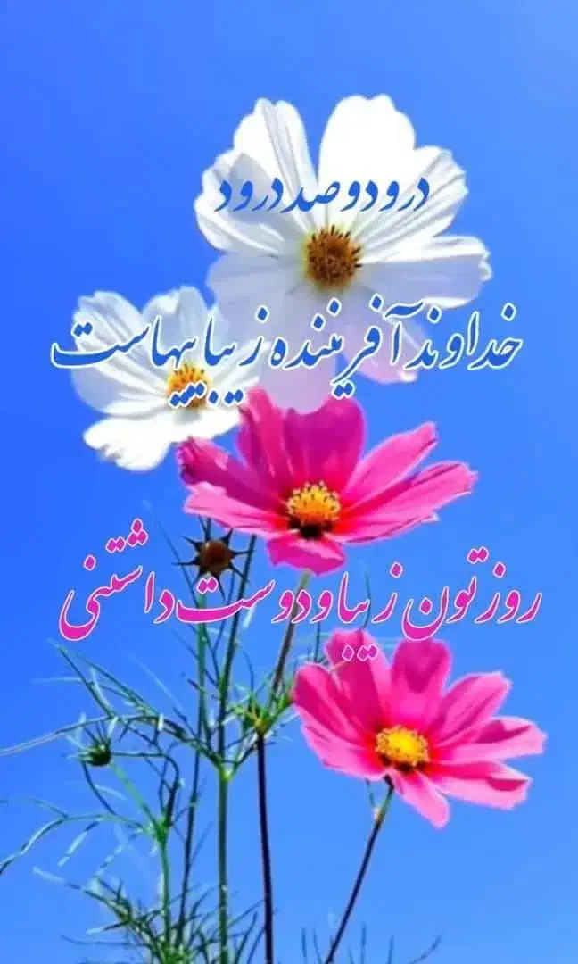 وام جانبازی|فعالیت داوطلبانه|قم, آزادگان|دیوار
