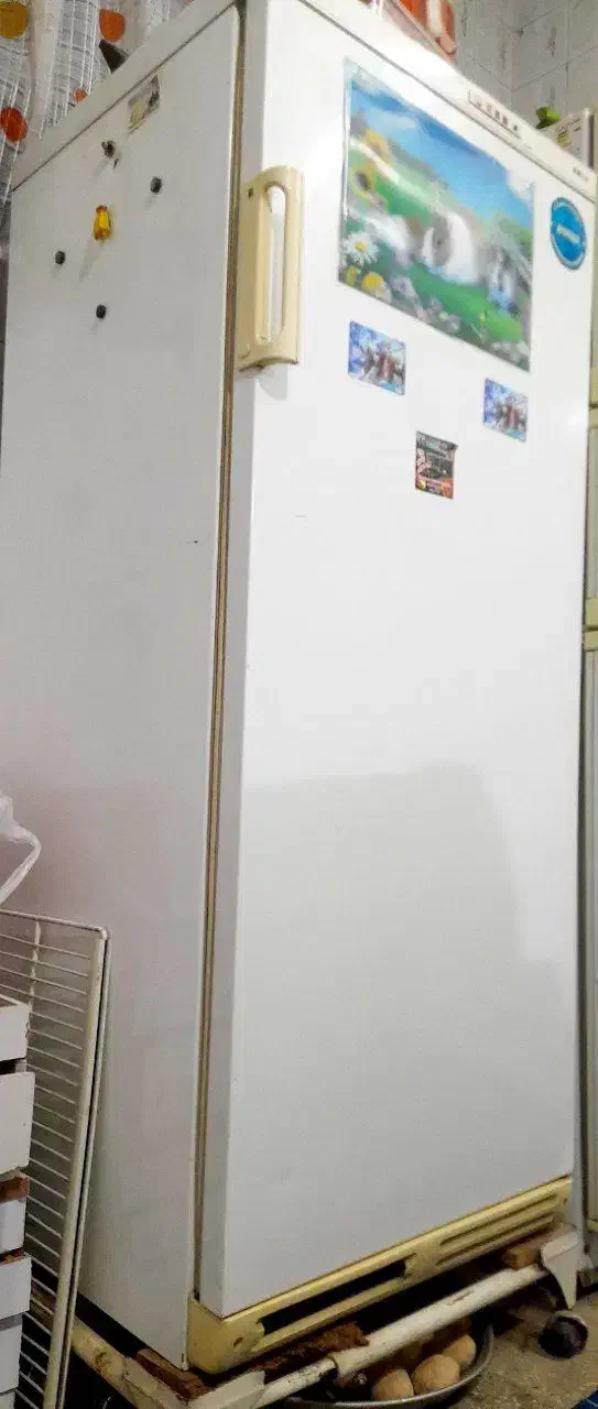 فریزر|یخچال و فریزر|مشهد, جلالیه|دیوار