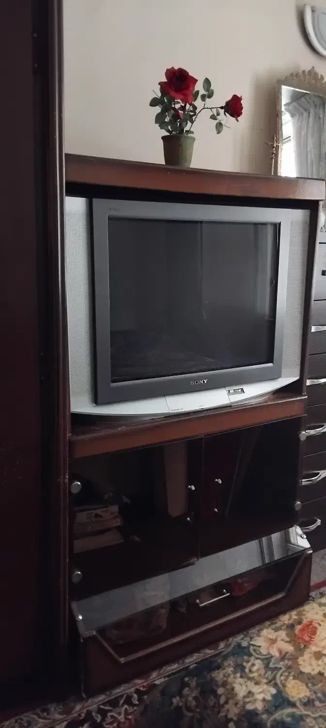 تلویزیون ۲۹ اینچ سونی با گیرنده ایرانی و میز|تلویزیون و پروژکتور|کرج, کوی زنبق|دیوار