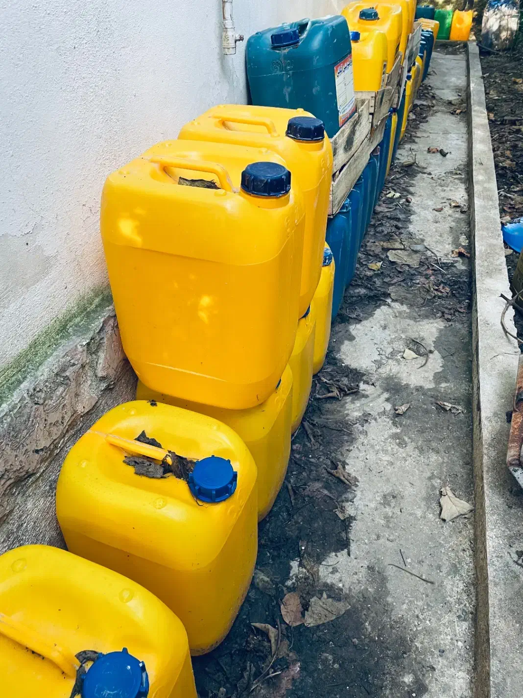 گالن ۲۰ لیتری پلاستیکی|ظروف نگهدارنده، پلاستیکی، یکبارمصرف|نوشهر, |دیوار