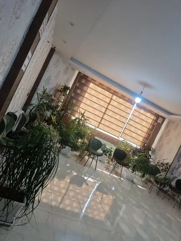 پزشک زیبایی حرفهای(خانم/آقا) خورزوق|استخدام درمانی، زیبایی، بهداشتی|شاهینشهر, فردوسی|دیوار