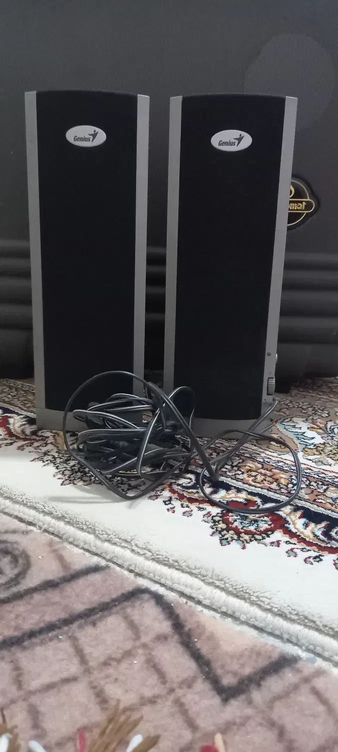 بلندگو کامپیوتر|قطعات و لوازم جانبی رایانه|فولادشهر, C5|دیوار