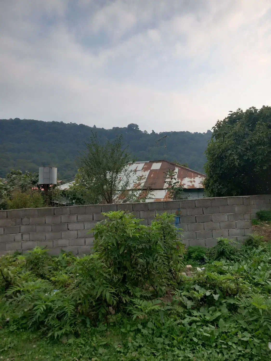 زمین در روستا|فروش زمین و ملک کلنگی|زیرآب, |دیوار