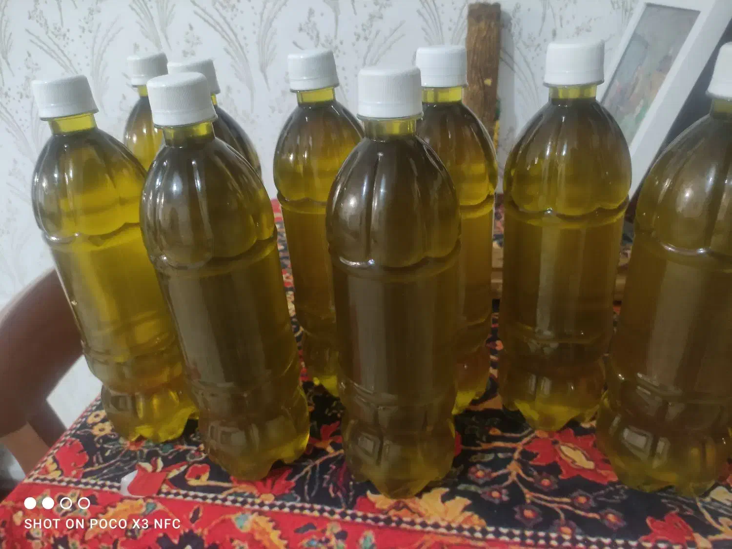 روغن زیتون طارم یک تازه|حراج|مشکین‌دشت, |دیوار