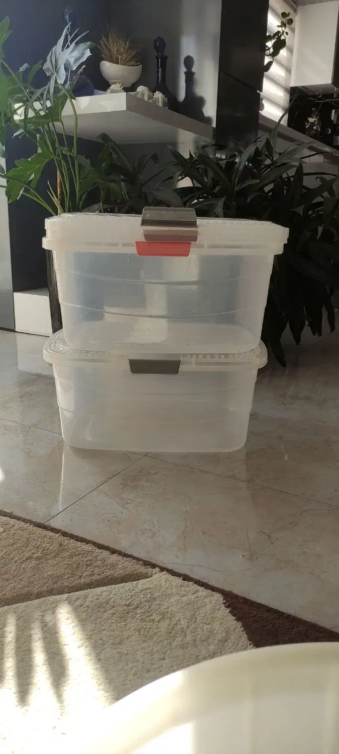 حلزون پرورشی|خزنده|اصفهان, بهارستان (مخابرات)|دیوار