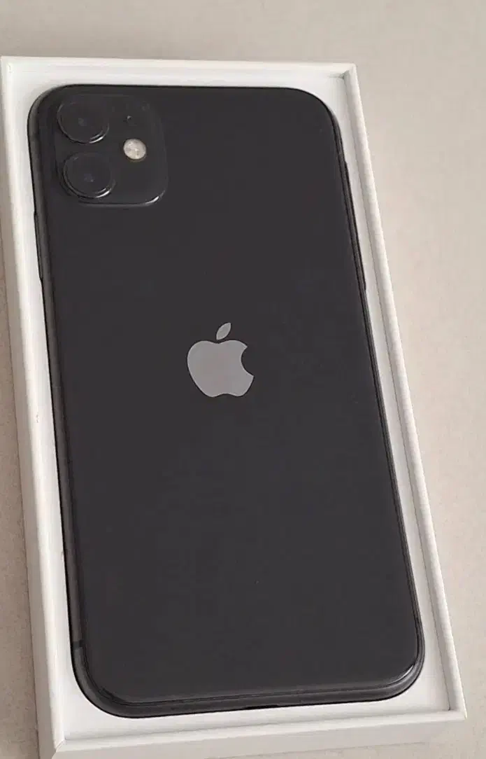 ایفون ۱۱|موبایل|ارومیه, |دیوار