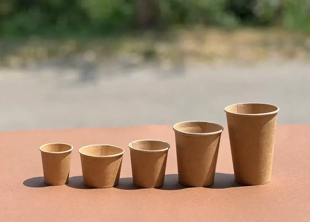 لیوان کاغذی|ظروف نگهدارنده، پلاستیکی، یکبارمصرف|تهران, تهرانسر مرکزی|دیوار