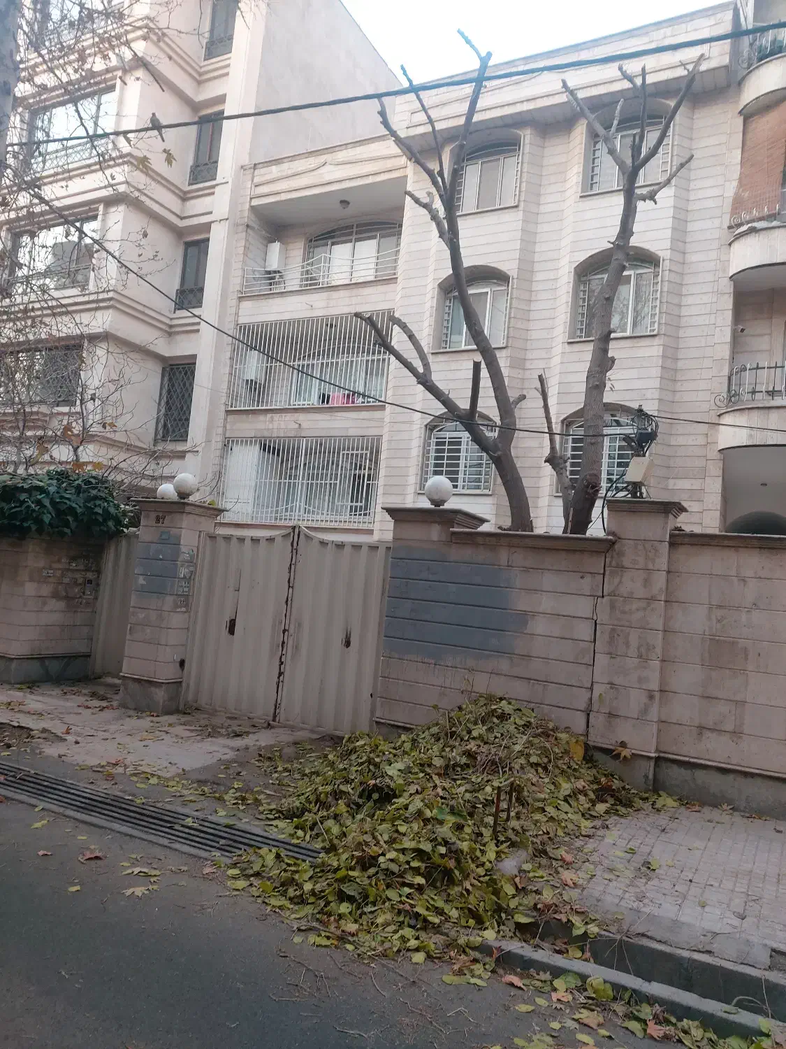 یکعدد فیش تمتع|تور و چارتر|کرج, کوی کارمندان جنوبی|دیوار