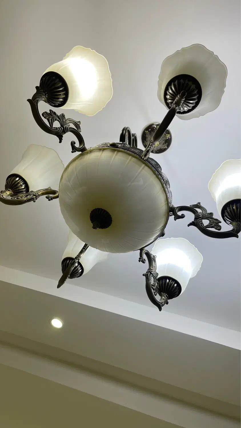 لوستر ۶ شعله|لوستر و چراغ آویز|رشت, کاکتوس|دیوار