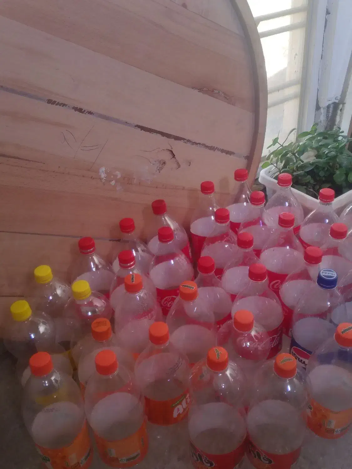 جانوشابه|حراج|یاسوج, |دیوار