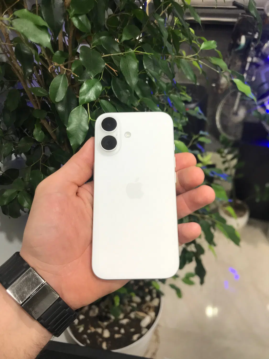 iphone 16 normal|موبایل|بهشهر, |دیوار