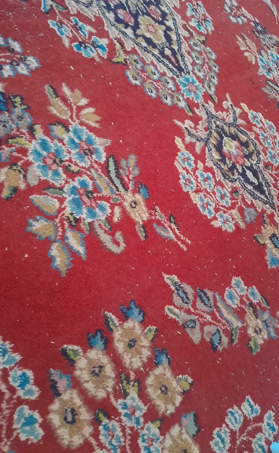 قالی کرمانی|فرش|رفسنجان, |دیوار