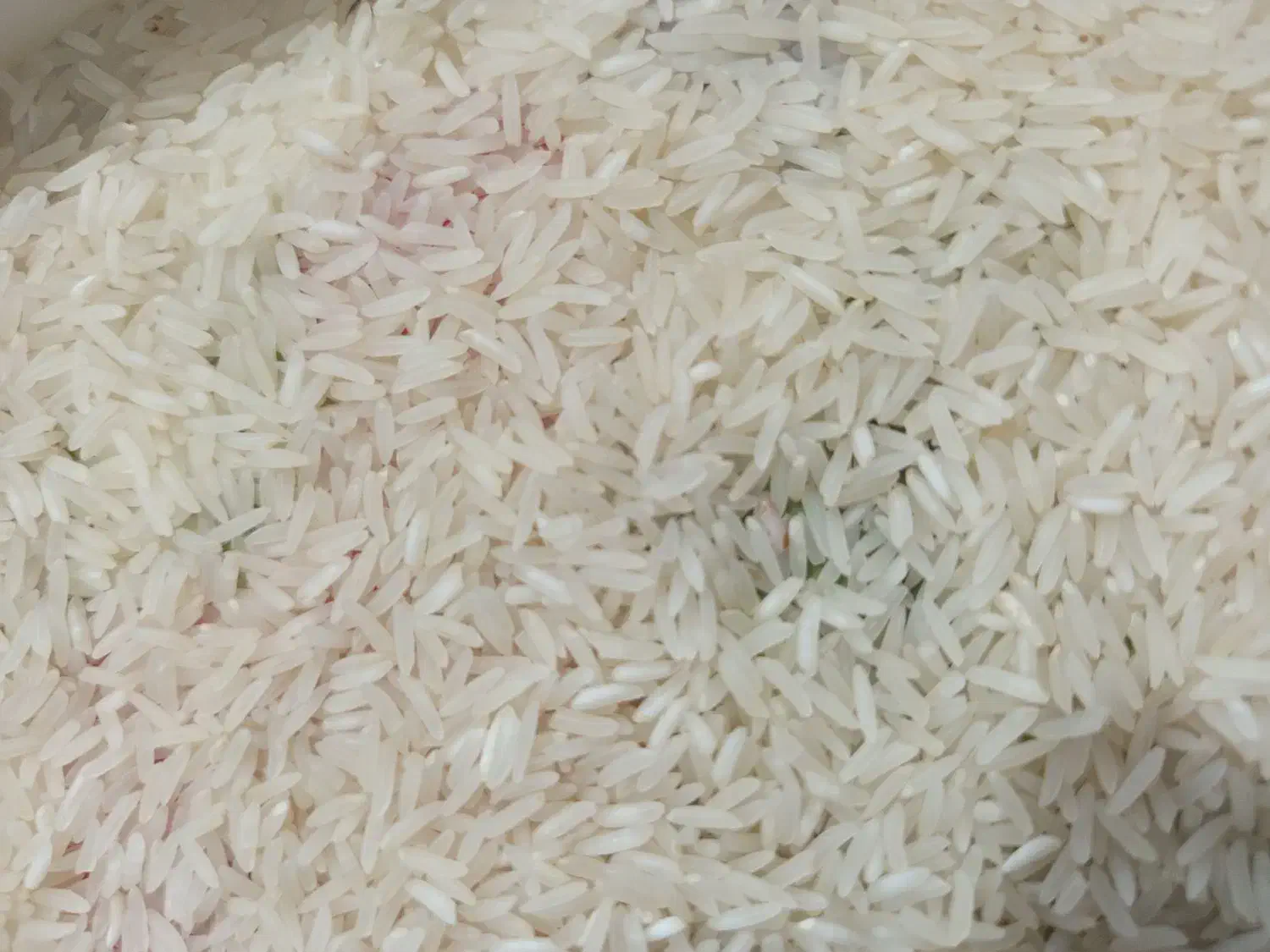 برنج اصل اصل سوزنی قیمت 235|عمدهفروشی|انبارآلوم, |دیوار