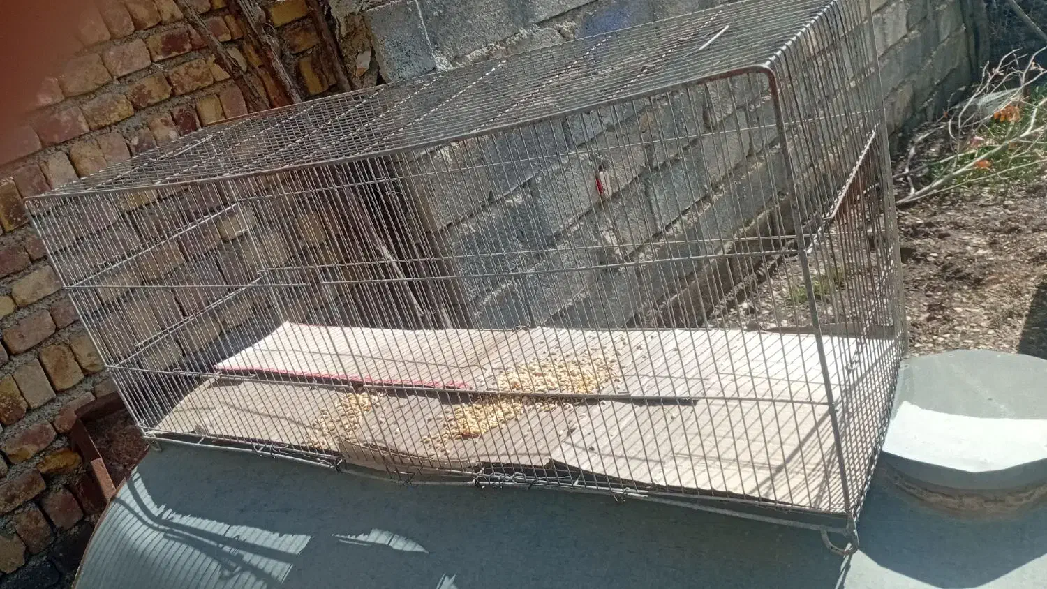 قفس پرنده|لوازم جانبی حیوانات|جوانرود, |دیوار