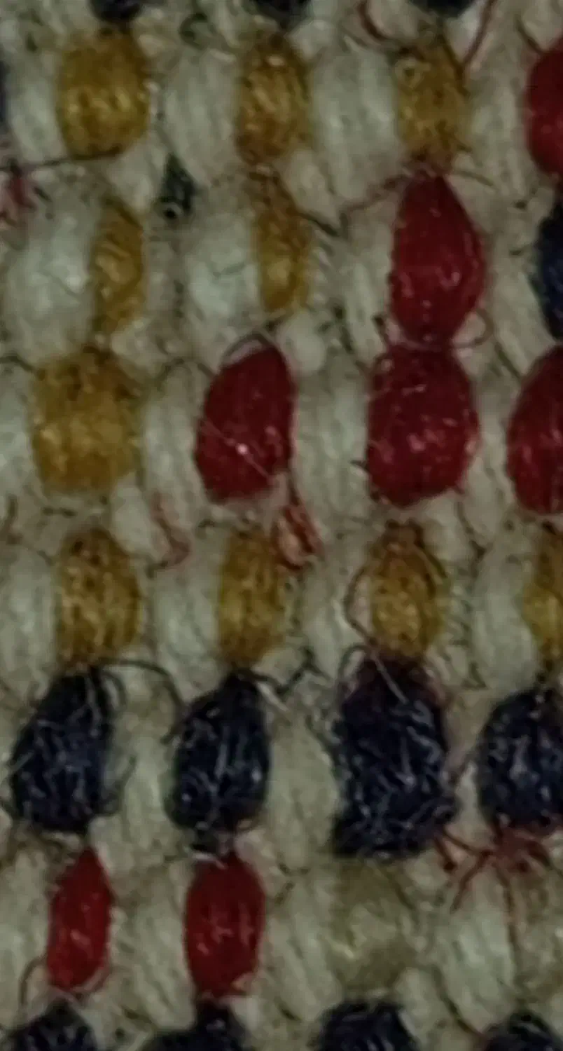 دوجفت فرش 6متری تمام ابریشم دستبافت قدیمی|فرش|پرند, فاز ۵|دیوار