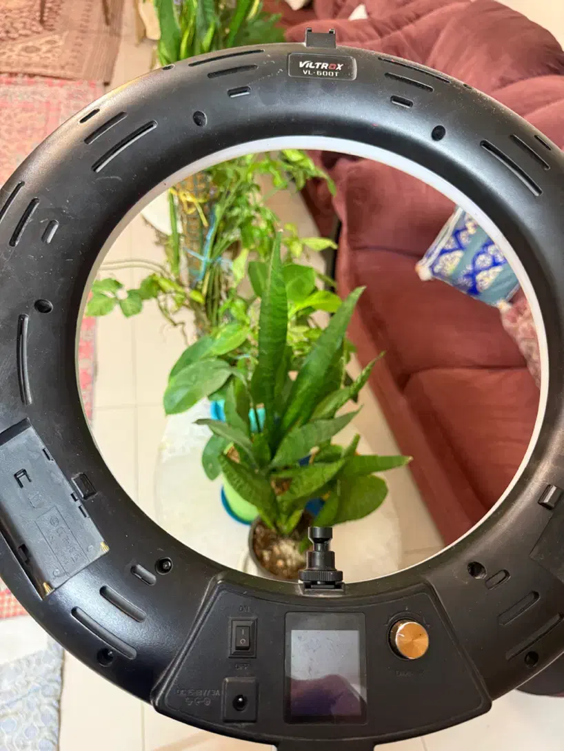 رینگ لایت Viltrox VL-600T|دوربین عکاسی و فیلم‌برداری|مشهد, اقبال|دیوار