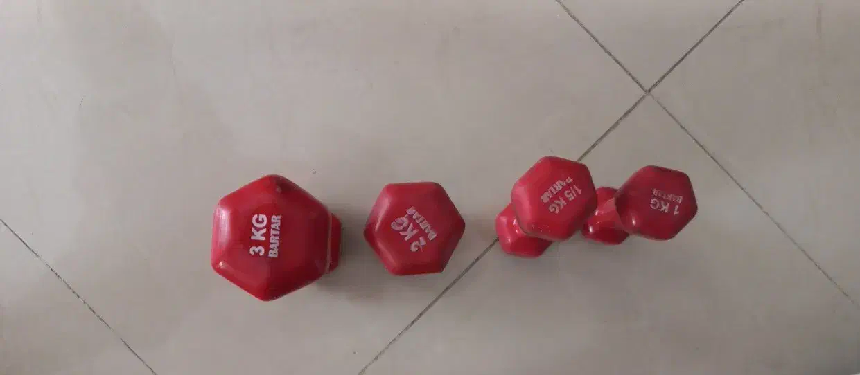 تعدادی دمبل، توپ جیم بال و ترامپولین|تجهیزات ورزشی|شیراز, هفت تنان|دیوار