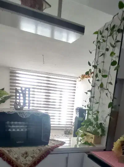 پرده زبرا|پرده، رانر، رومیزی|کرمانشاه, |دیوار