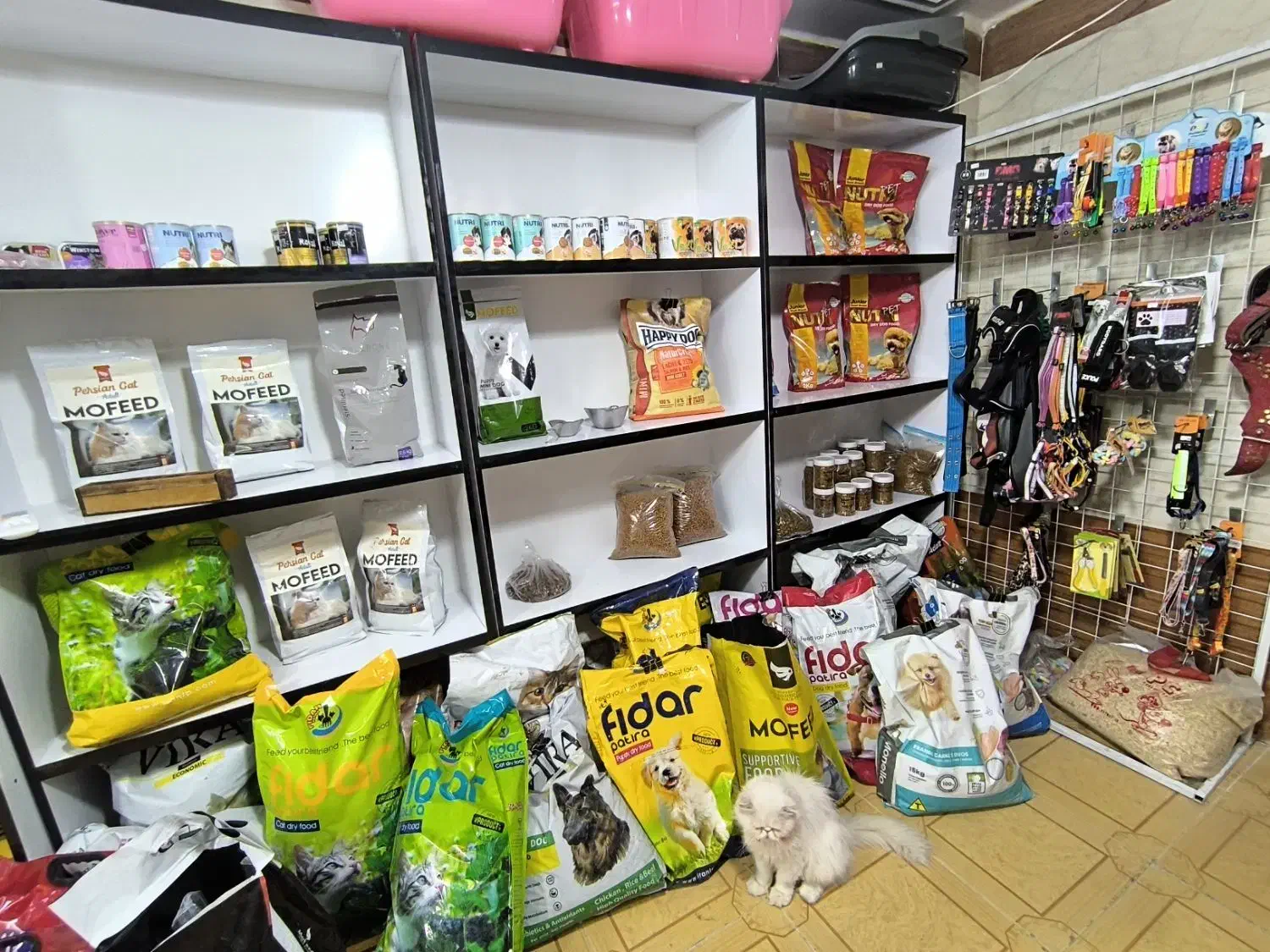 پت شاپ پارسی انواع لوازم سگ و گربه و پرنده|لوازم جانبی حیوانات|کازرون, |دیوار