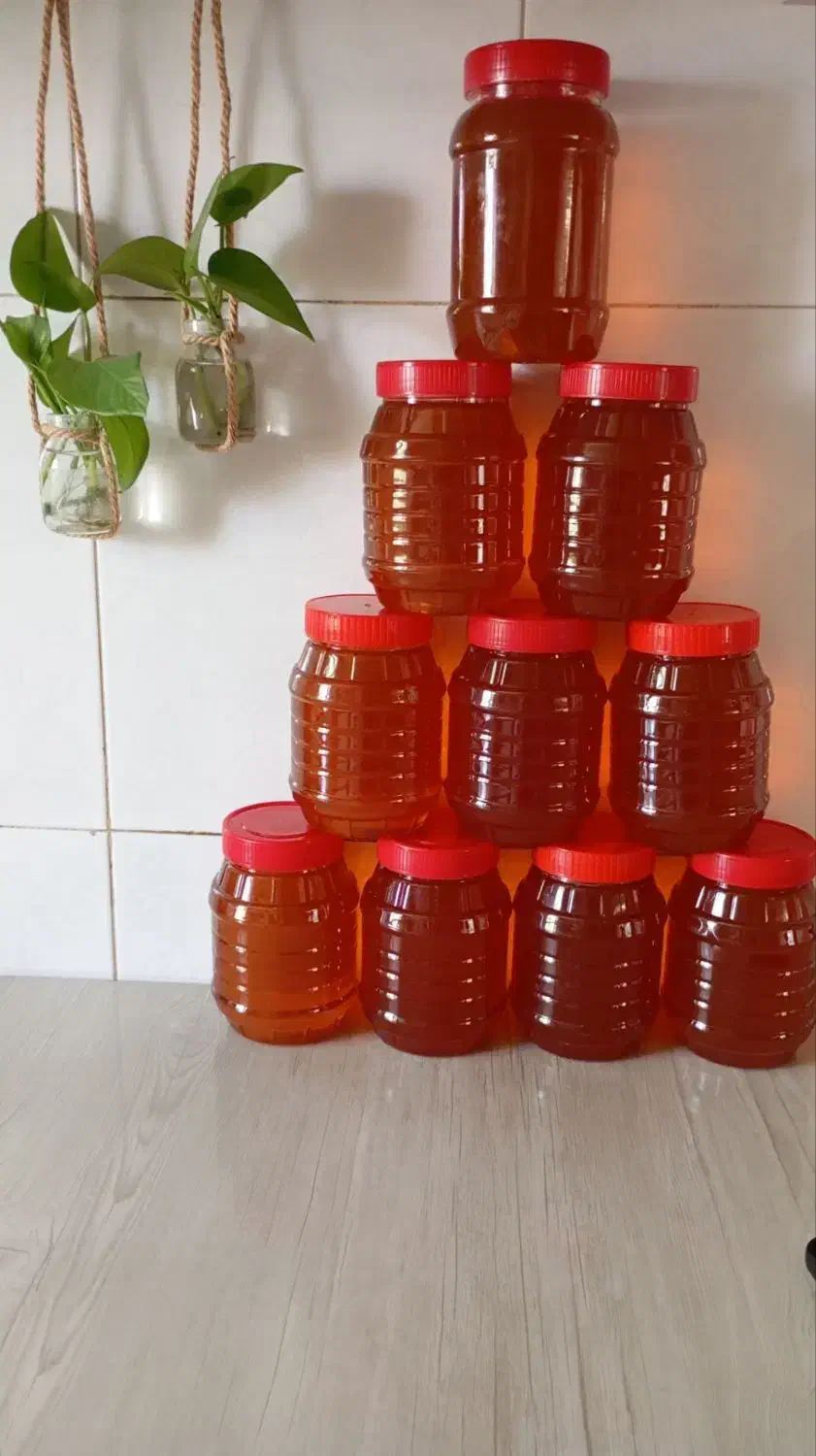 عسل گون|خوردنی و آشامیدنی|قم, آزادگان|دیوار
