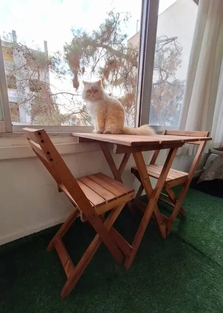 میز و صندلی چوبی تاشو|صندلی و نیمکت|دزفول, |دیوار